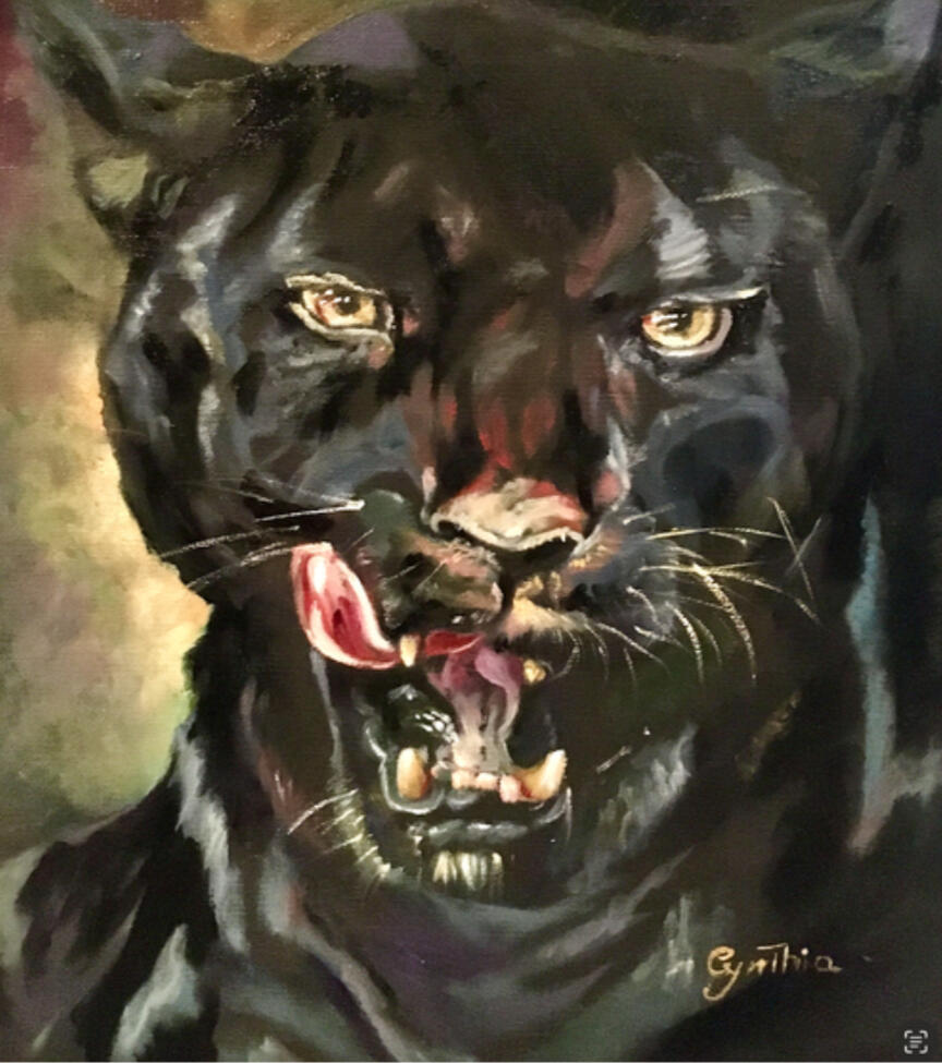 Black Panther: : Private Collection