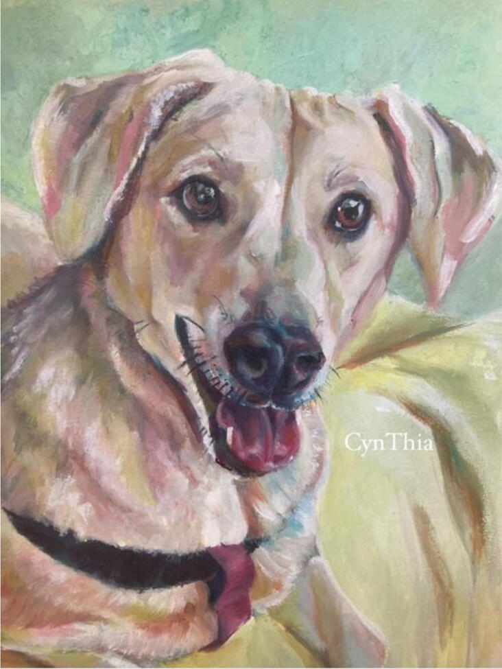 Layla: Private Collection