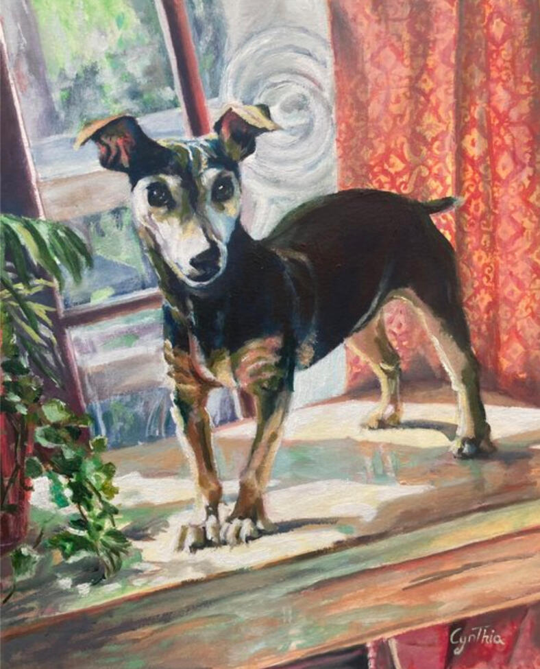 Lilly: Private Collection