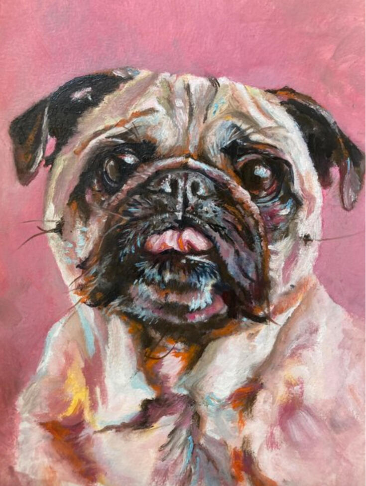 Pug