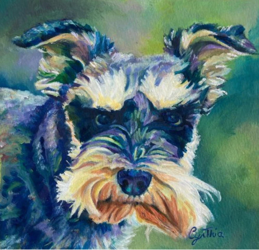 Bella: Private Collection