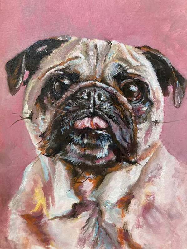 Pug Portrait