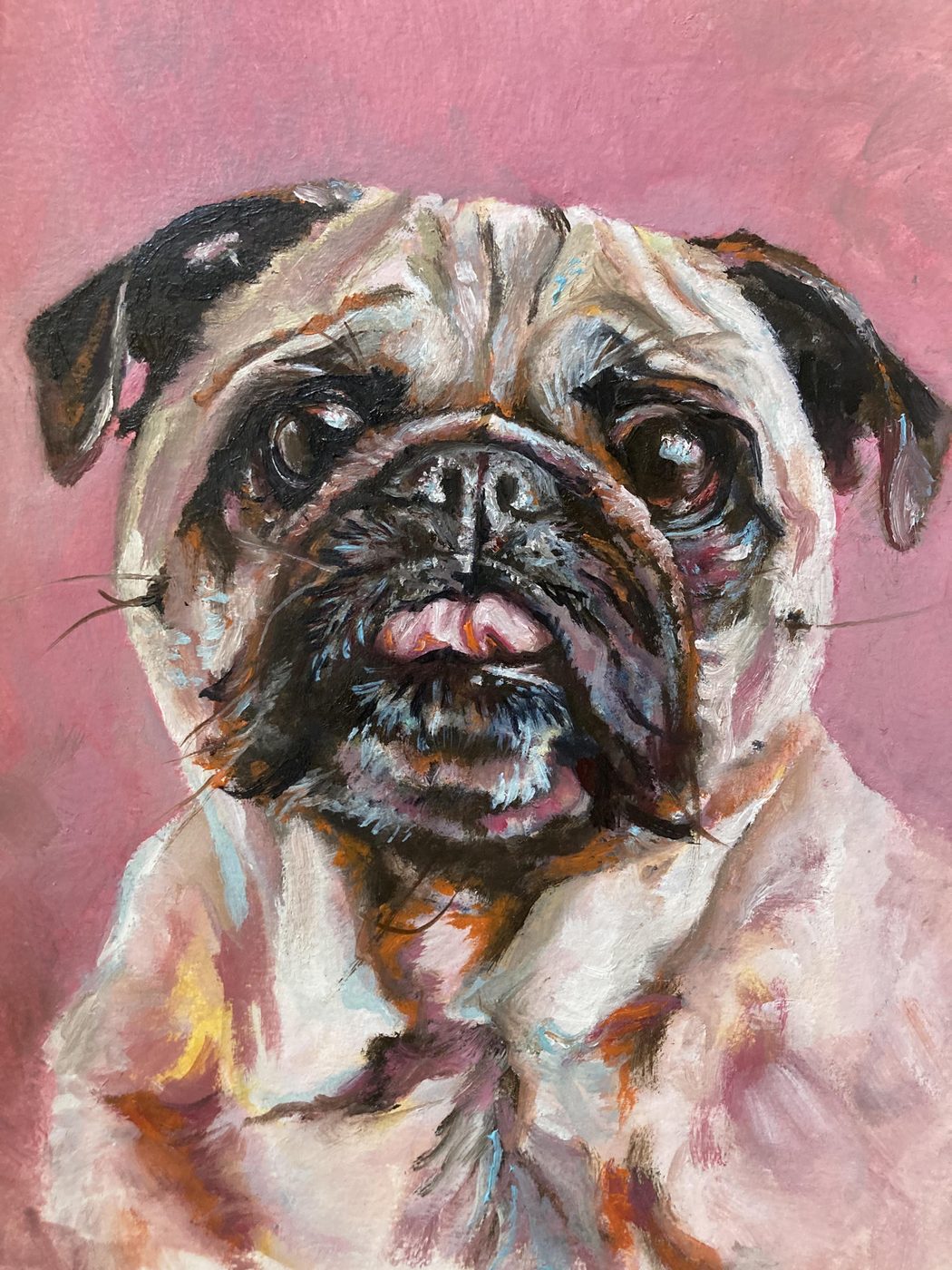 Pug